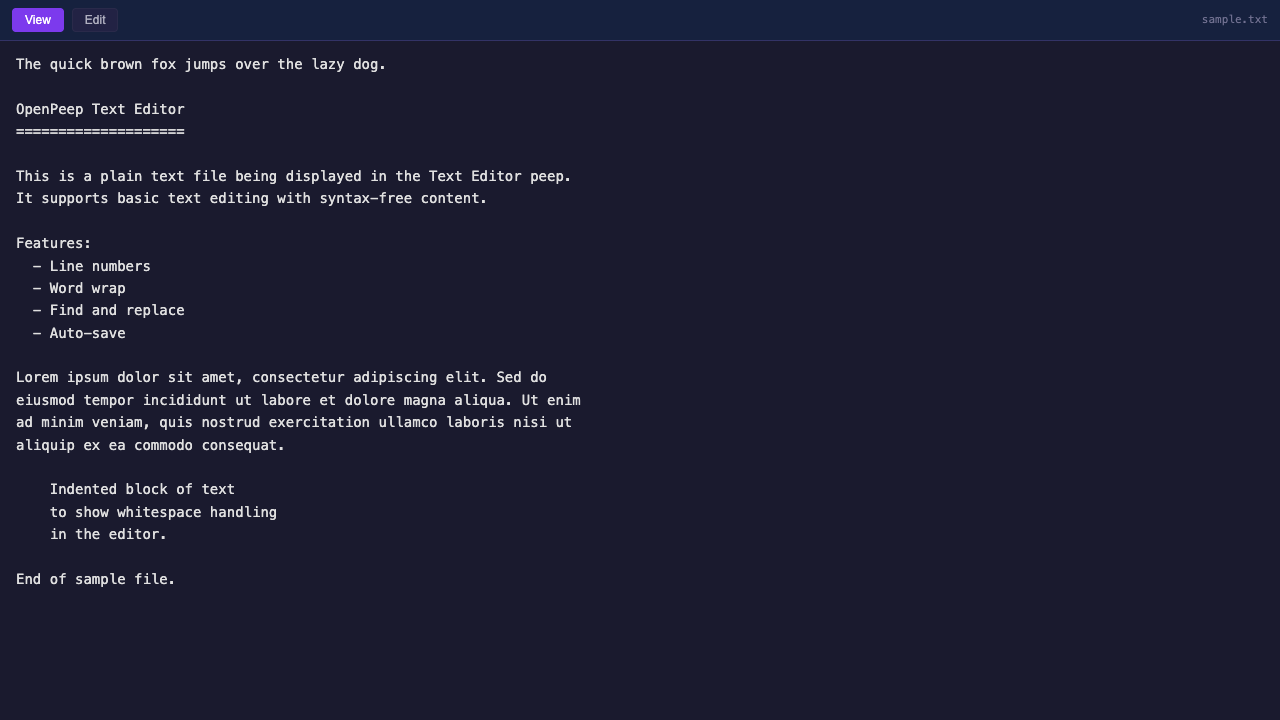 Text Editor preview