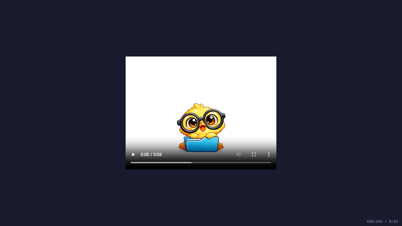 Video Player preview